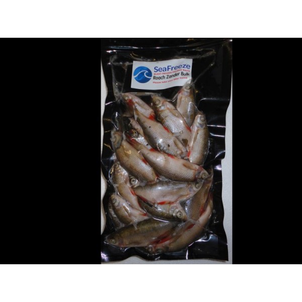 Roach zander Bulk Pack (15-20 per packet 2-3 inches)