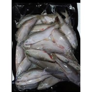 Roach 1lb bulk