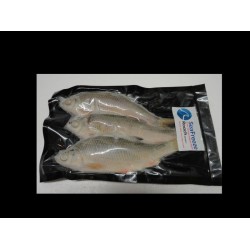 Roach medium (3-4 per packet 5-6”approx)