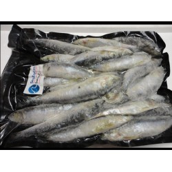 Sardine 1kilo