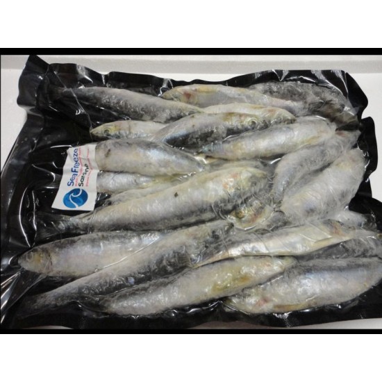 Sardine 1kilo
