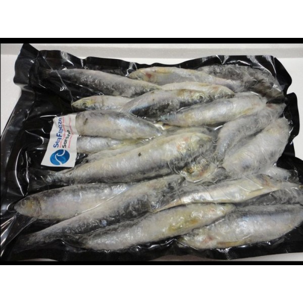 Sardine 1kilo