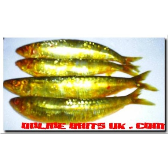 Sardines Gold
