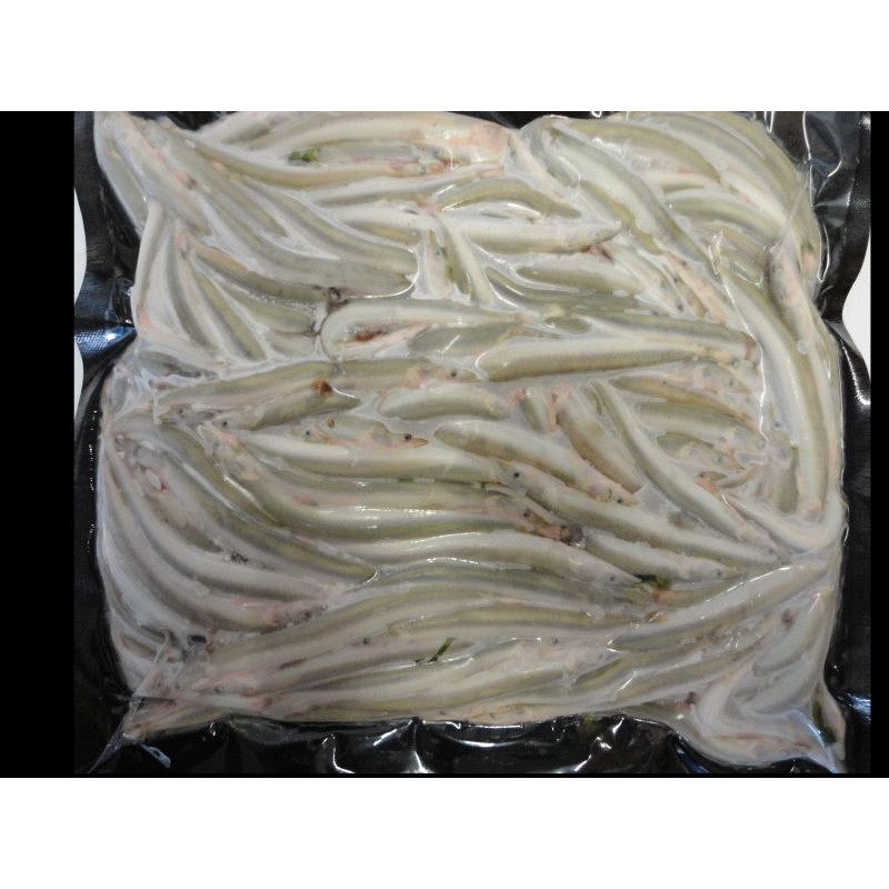 Bulk Frozen Sand Eel