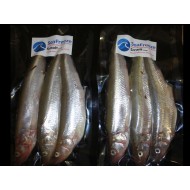 Smelt Large 3 - 4's