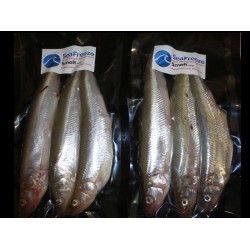 Smelt Large 3 - 4's