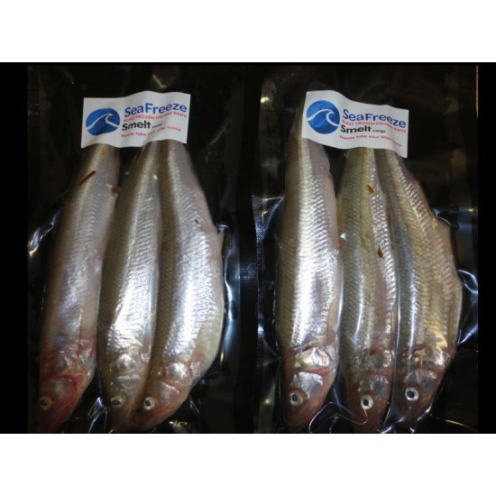 Smelt Large 3 - 4's