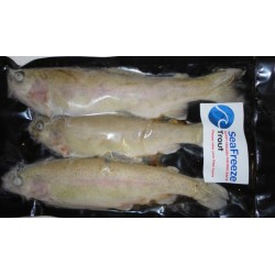 Trout  (3 per pk 5-7")