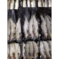 Salmon Parr (3-4 ppk)