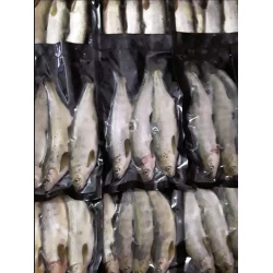 Salmon Parr (3-4 ppk)