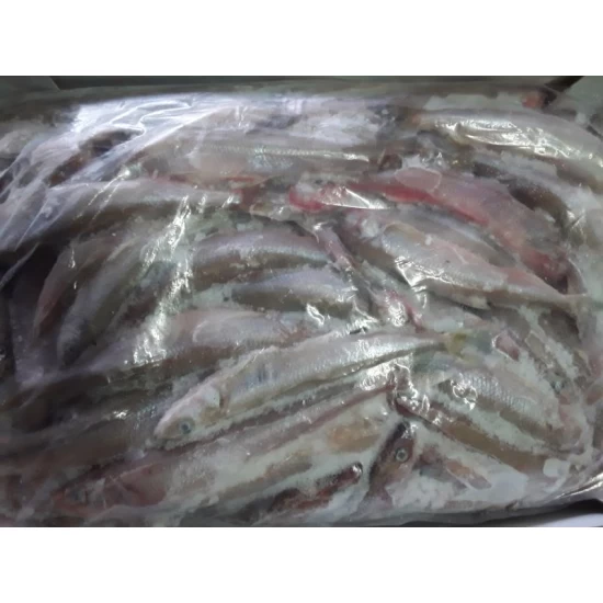 Smelts Bulk 3kilo