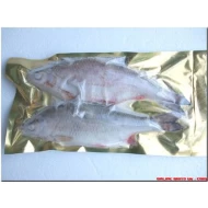 Roach XL (1-2 per packet 9-12”)