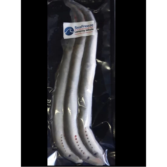 Lamprey whole 3-4 ppk