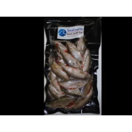 Roach zander Bulk Pack (15-20 per packet 2-3 inches)