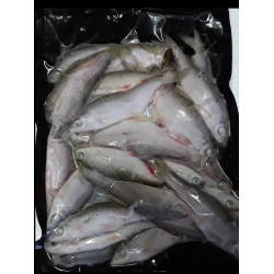 Roach 1lb bulk