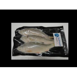 Roach medium (3-4 per packet 5-6”approx)