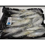 Sardine 1kilo