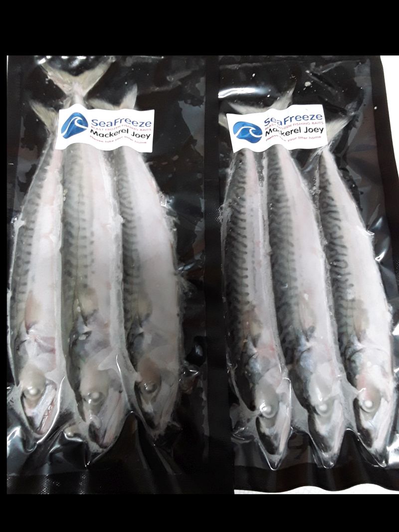 Mackerel Joeys (3 per pk)